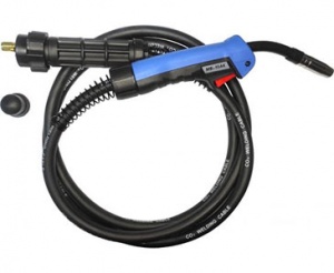 ������� 5� ���� 25�� 